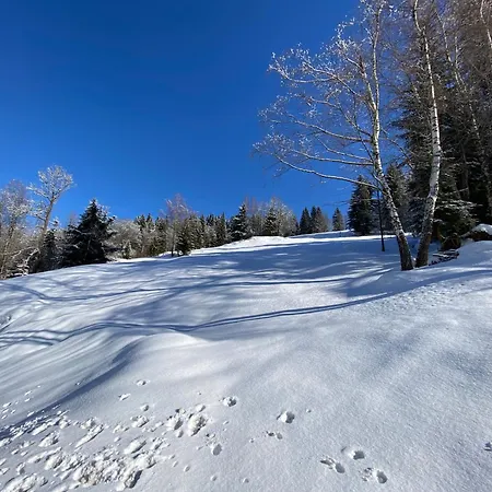 Apartment Rakosarna & Spindleruv Mlyn