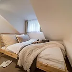 Rakosarna & Lägenhet Špindlerŭv Mlýn