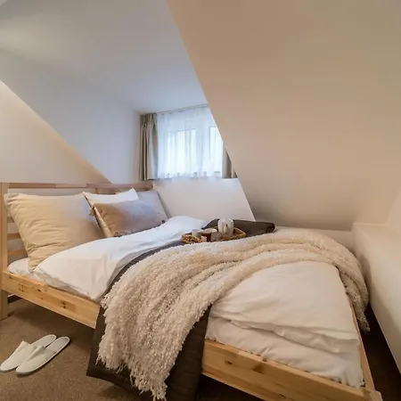 Rakosarna & Lägenhet Špindlerŭv Mlýn