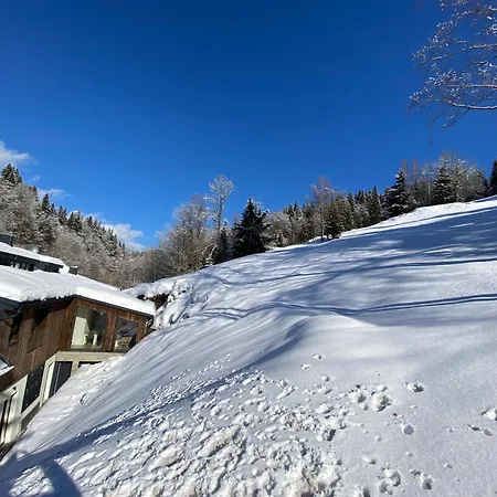 Lägenhet Rakosarna & Špindlerŭv Mlýn