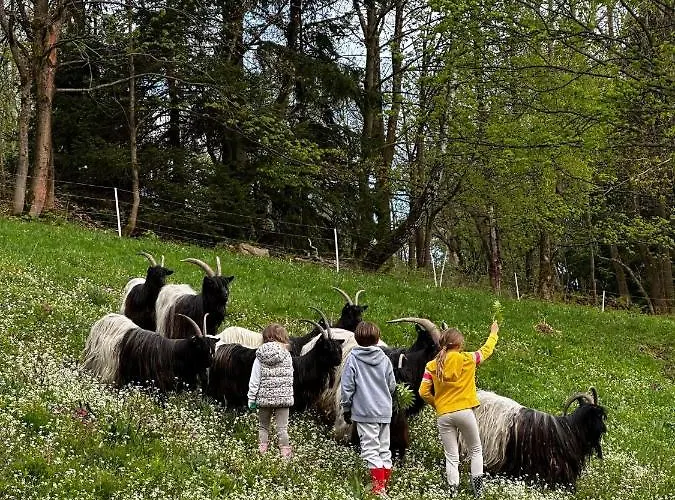 Rákosárna Suites&apartments *