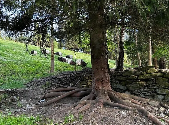 Rakosarna & * Špindlerŭv Mlýn