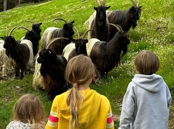 Rakosarna & Appartement *