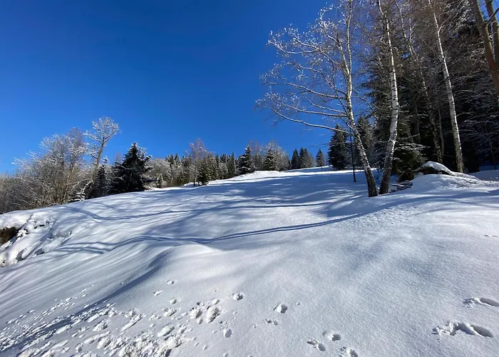 Apartman Rákosárna Suites&apartments Špindlerŭv Mlýn